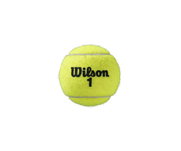 Atlanta-Deportes-Pelota de tenis-Rolad Garros-Wilson 3